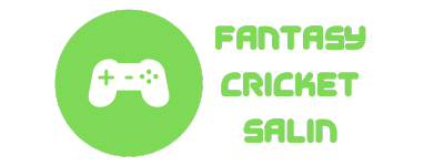 fantasycricketsalin.com